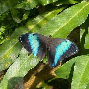 Meet your Posher, Fiona